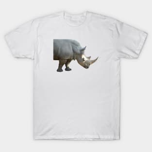 Black rhino / Swiss Artwork Photography T-Shirt